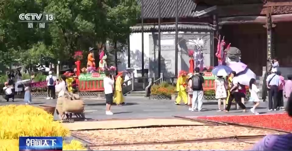 豪彩vip